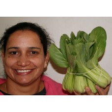 SPRAY FREE PAK CHOY  Per Bunch Katikati Grown